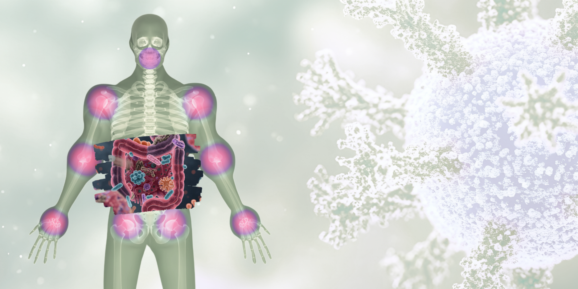 Microbiome and how it affects arthritis